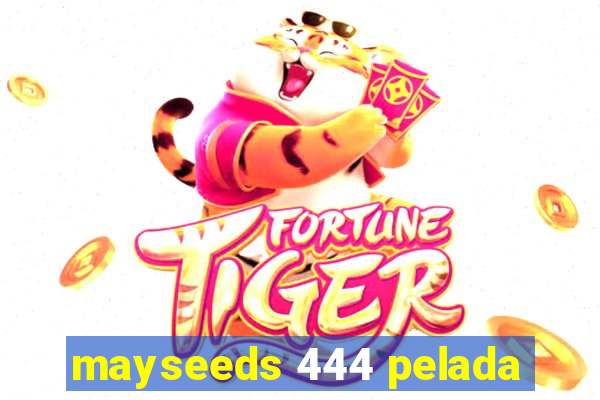 mayseeds 444 pelada